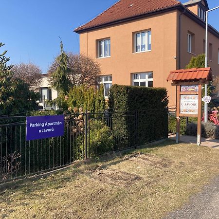 Apartman U Javoru Varnsdorf Dış mekan fotoğraf