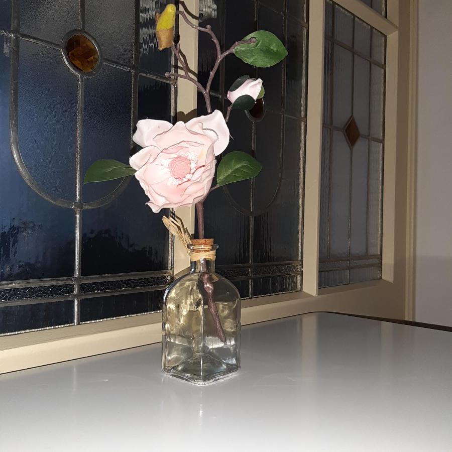 Apartman U Javoru Varnsdorf Dış mekan fotoğraf