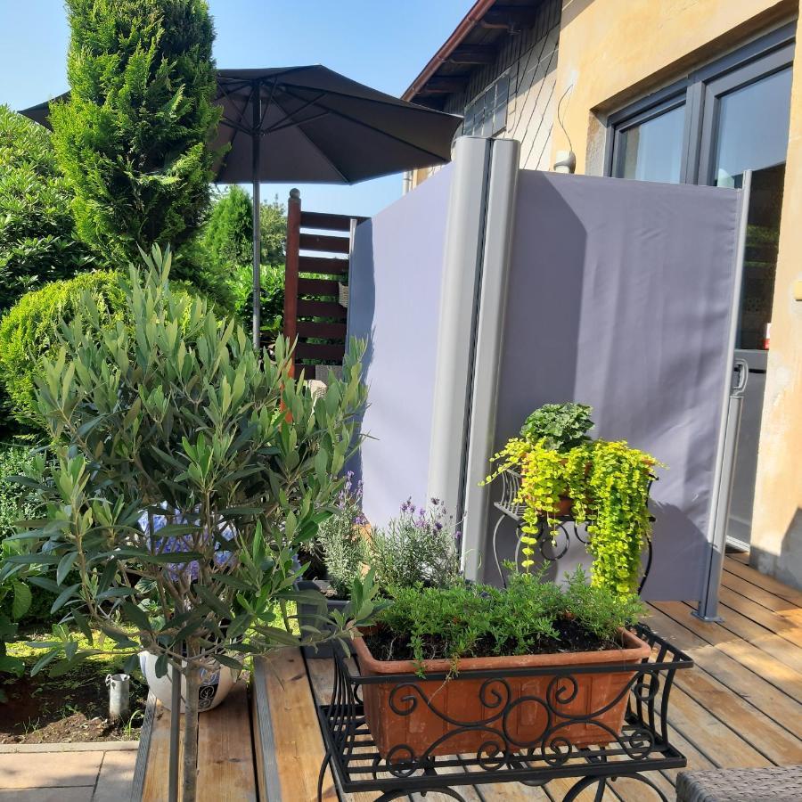 Apartman U Javoru Varnsdorf Dış mekan fotoğraf