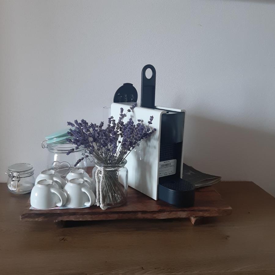 Apartman U Javoru Varnsdorf Dış mekan fotoğraf