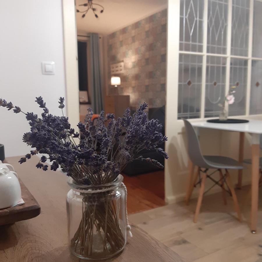 Apartman U Javoru Varnsdorf Dış mekan fotoğraf